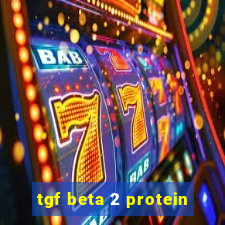 tgf beta 2 protein